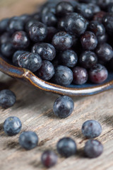 Blue Berries