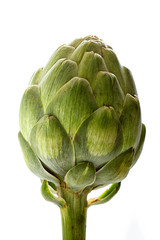 Fototapeta premium Closeup of artichoke on white background