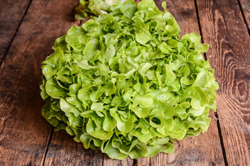 Salatkopf Eichblatt auf Holztisch Rustikal	