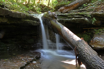 Fototapeta premium small waterfall in the forest