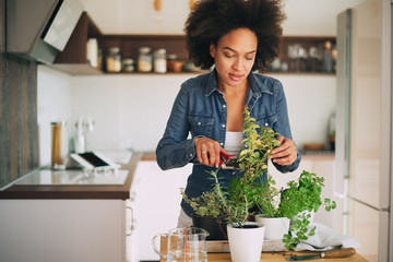 Beautiful mixed race woman gardening.