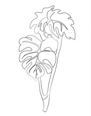 Fototapeta premium branch of a flower, lines, vector,