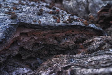 Black volcanic lava stone. macro background.