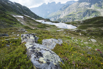 Schweizer Alpen Berglandschaft Sustenpass Region