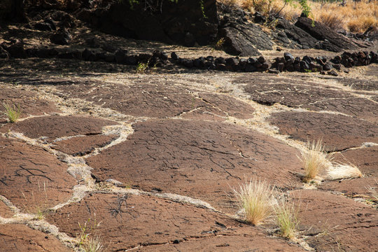 Petroglyph Landscape on Hawaii's Big Island