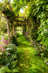 A  grassed path under a vine-covered pergola-archway makes a verdant mysterious shady avenue. Flower beds and ferns adorn the sides.
