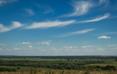 Fototapeta premium Blue sky, white gentle clouds against the background of nature