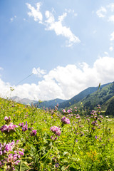 Fototapeta premium Mountains landscape of the Kaskelen gorge in the Tien-Shan Mountains, Almaty, Kazakhstan