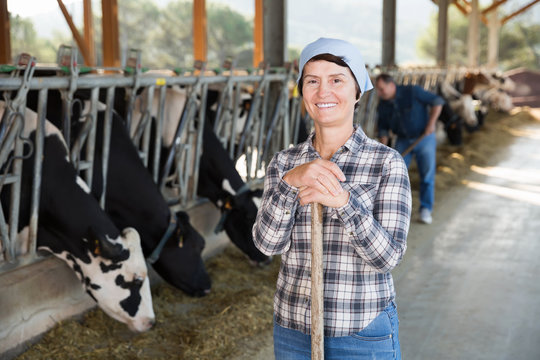 Woman farmer posing on background of cows in stall