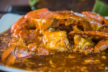 Close up on Singaporean famous chilli crab