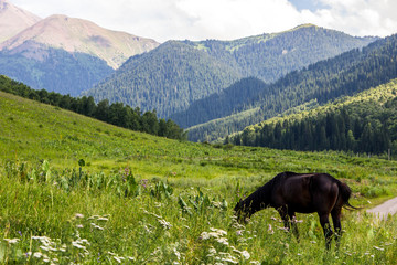 Mountains landscape of the Kaskelen gorge in the Tien-Shan Mountains, Almaty, Kazakhstan