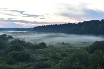 Evening fog