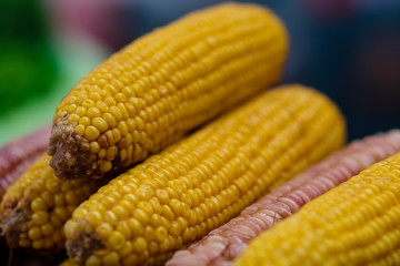Corn on the cob close-up