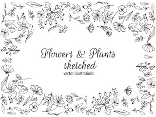 Frame composed of flowers.Hand drawn flowers, sketched flowers and plants, black and white, monochrome. Vector illustration.