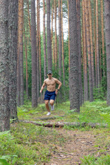 A young man with a muscular bare chest, in shorts and a cap, runs along a pine forest against the background of tree trunks