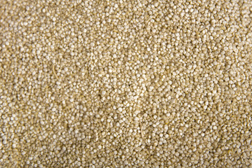 Quinoa seed background