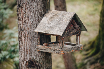 wooden bird feeder house on a big tree.