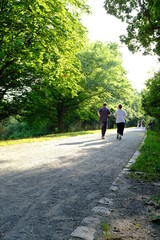 An elderly couple is walking in a park 