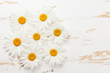 Garden chamomile flowers on wooden background