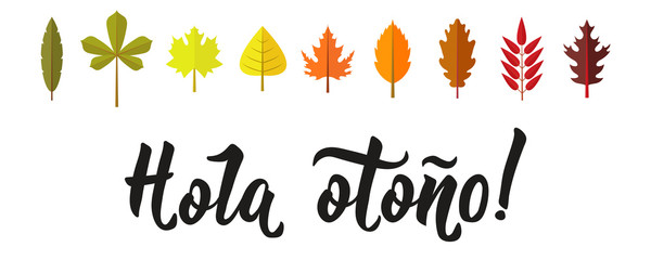 Hola otono Lettering. Spanish translation: Hello autumn. calligraphy vector illustration.