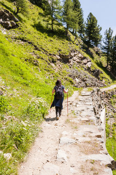 Pontresina, Muottas Muragl, Wanderweg, Wanderin, Panoramaweg, Alpen, Oberengadin, Graub&uuml;nden, Val Bernina, Bernina, Sommer, Schweiz