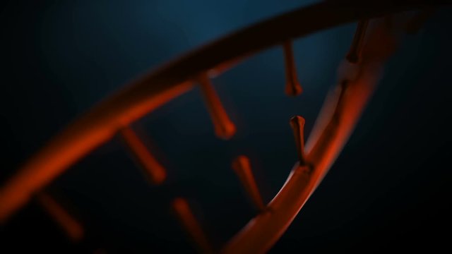 double helical structure of dna strand close-up animation