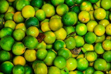 les citrons vert