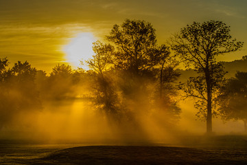 Fototapeta na wymiar Misty Morning Sunrise