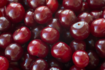 Closeup of ripe cherries. Large collection of fresh red cherries. Ripe cherries background. sweet cherries