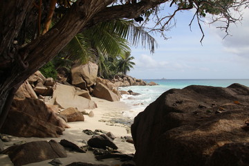 Robinson Cruso Feeling auf La Digue