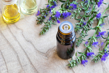 A bottle of hyssop essential oil with fresh blooming hyssop