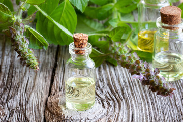 A bottle of tulsi essential oil with fresh tulsi, or holy basil
