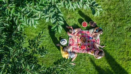Foto op Plexiglas Happy family having picnic in park, parents with kids sitting on grass and eating healthy meals outdoors, aerial view from above   © Iuliia Sokolovska
