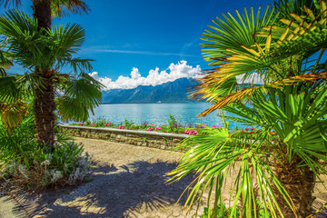 Montreux city with Swiss Alps, lake Geneva and  on Lavaux region, Canton Vaud, Switzerland, Europe