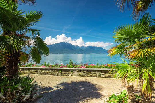 Montreux city with Swiss Alps, lake Geneva and  on Lavaux region, Canton Vaud, Switzerland, Europe