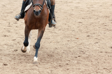 Learning Horseback Riding. Teaches Equestrian sport.