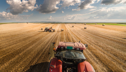 Bale in field © Dusan Kostic
