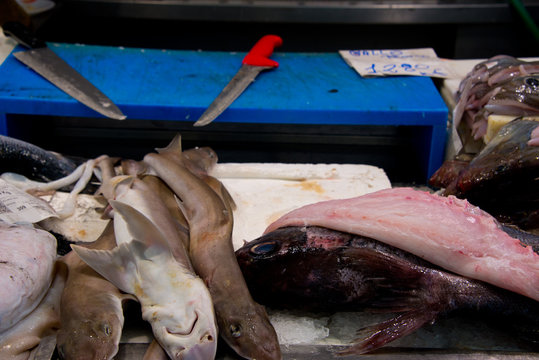 rock salmons on fishmonger's market stall in cadiz, andalusia, spain