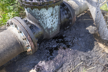 Effects nature from soil contaminated with chemicals and oil. Environmental disaster, contamination...