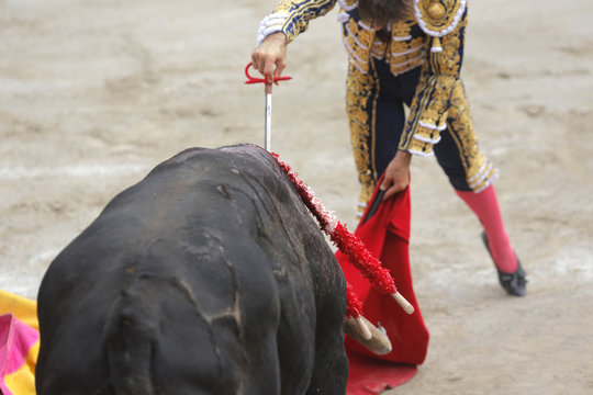 Torero clavando la espada al toro durante una corrida