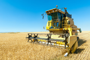 Fototapeta premium Harvester performing mowing tasks in the field.