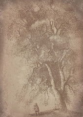 Old vintage grunge paper tree background - Historisches Papier mit Baum Motiv