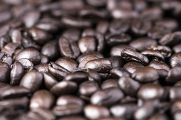 Close up of fried beans of coffee.