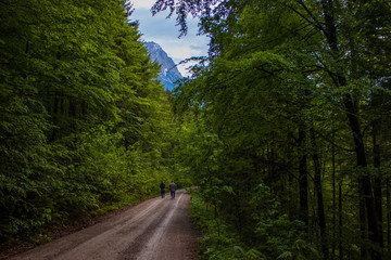 Fototapeta premium Road in the Alps