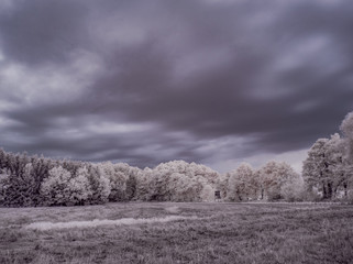 infrared photography - ir photo of landscape with tree under sky with clouds - the art of our world...