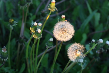 You Reap What You Sow