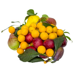Autumn batch of fruit isolated on a white background.