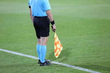 Linesman soccer referee with flags