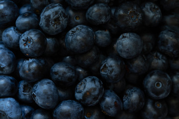 blueberries macro