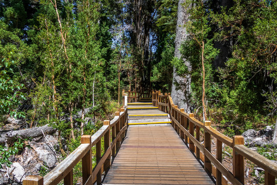 Boardwalk path at Arrayanes National Park - Villa La Angostura, Patagonia, Argentina